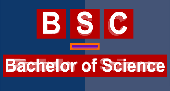 A Guide to BSC Long Form