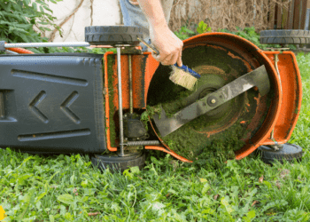 How to Sharpen Lawn Mower Blades Without Removing Them