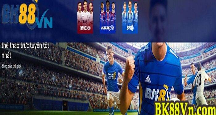 What is the Order of the Martyrs? Basic Guide to Playing Mau Binh Online