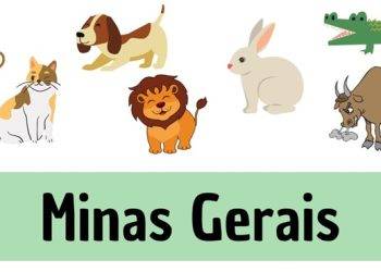 Resultado do Jogo do Bicho de Hoje Minas Gerais: Tudo o que Você Precisa Saber