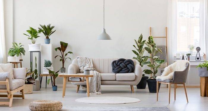 Elevate Your Interiors: Unique Showpieces and Table Decor Ideas