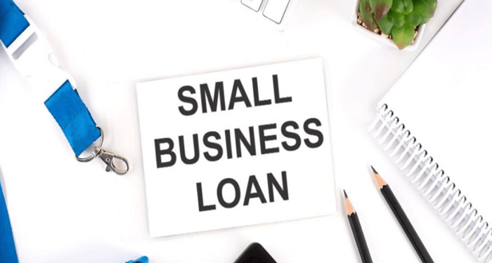 Why Small Business Loans Have Become a Lifeline for Indian SMEs