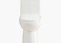 Experience Modern Bathroom Comfort with the Horow One-Piece Toilet