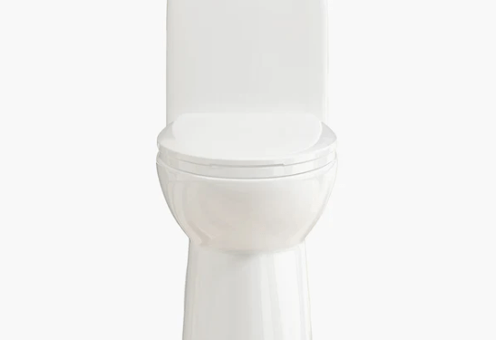 Experience Modern Bathroom Comfort with the Horow One-Piece Toilet